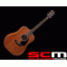 Takamine GD11M NS Akustična gitara